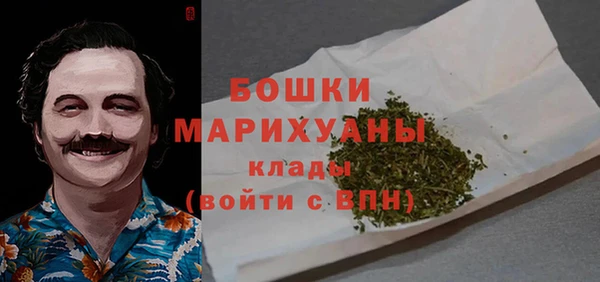 не бодяженный Горно-Алтайск