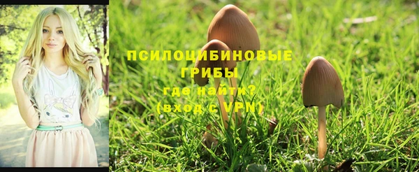 COCAINE Вязьма