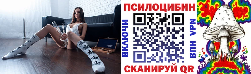дарк нет телеграм  Заволжск  Псилоцибиновые грибы Cubensis 